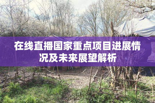 在线直播国家重点项目进展情况及未来展望解析
