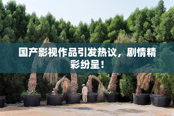 国产影视作品引发热议，剧情精彩纷呈！