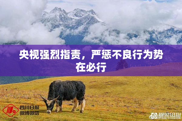 央视强烈指责，严惩不良行为势在必行