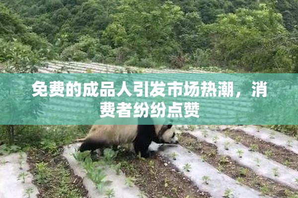 免费的成品人引发市场热潮，消费者纷纷点赞