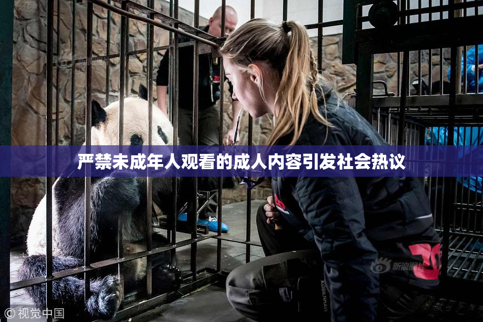 严禁未成年人观看的成人内容引发社会热议