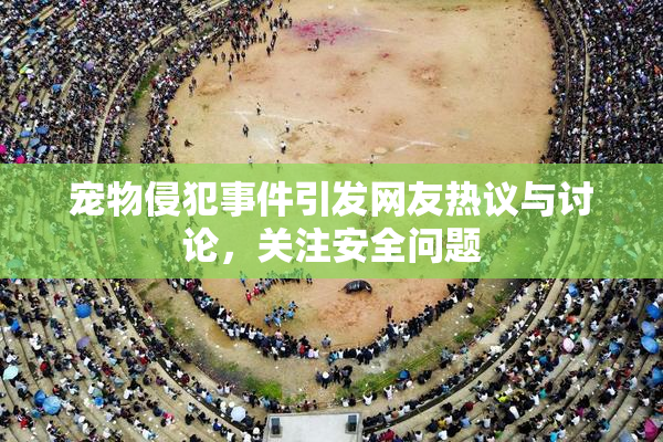 宠物侵犯事件引发网友热议与讨论，关注安全问题