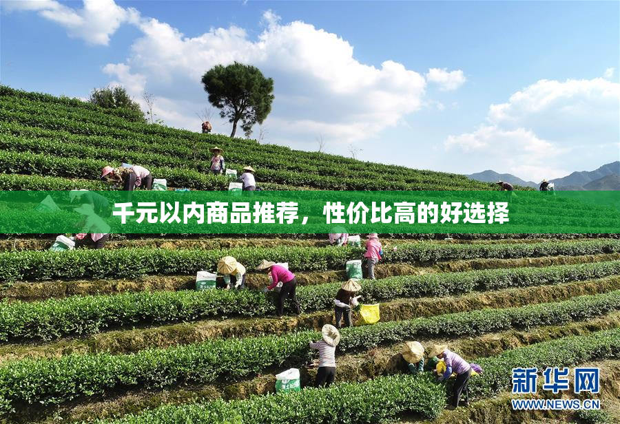 千元以内商品推荐，性价比高的好选择