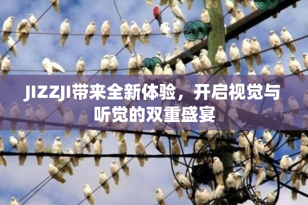 JIZZJI带来全新体验，开启视觉与听觉的双重盛宴