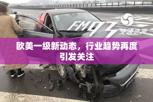 欧美一级新动态，行业趋势再度引发关注