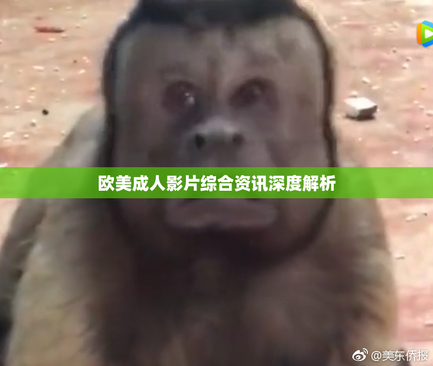 欧美成人影片综合资讯深度解析
