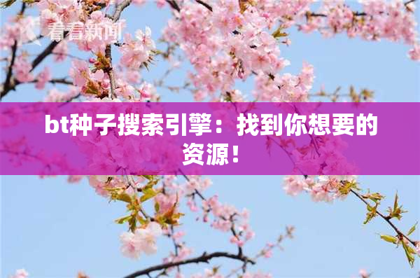 bt种子搜索引擎：找到你想要的资源！