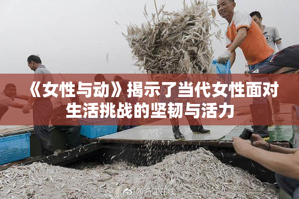 《女性与动》揭示了当代女性面对生活挑战的坚韧与活力