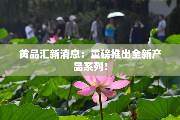 黄品汇新消息：重磅推出全新产品系列！