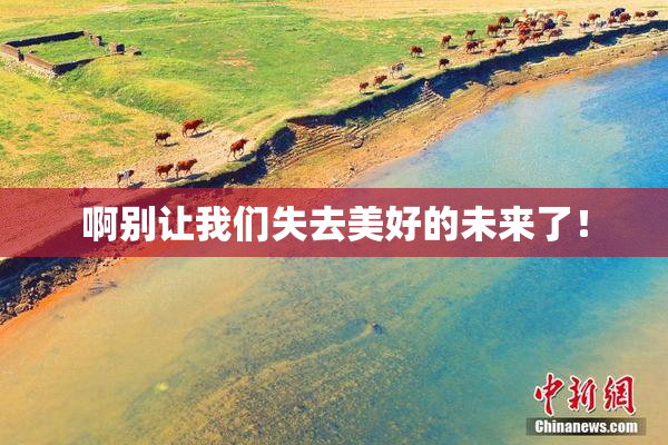 啊别让我们失去美好的未来了！