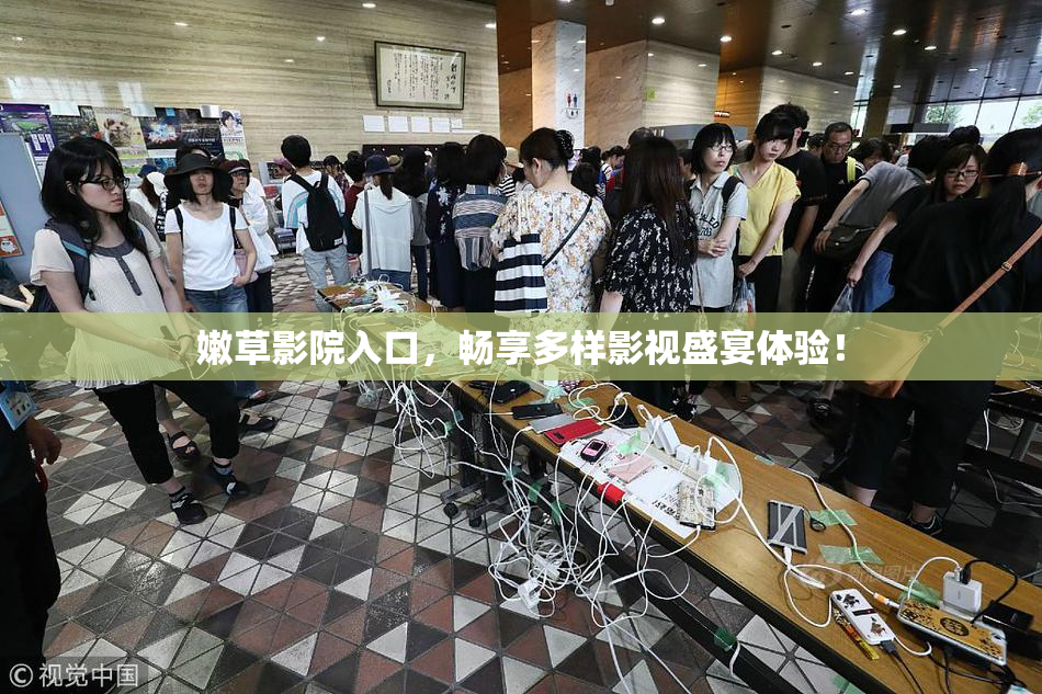 嫩草影院入口，畅享多样影视盛宴体验！