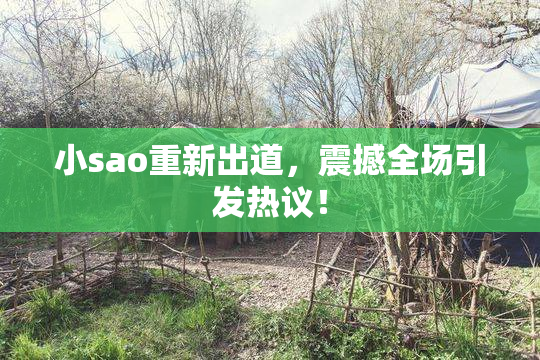 小sao重新出道，震撼全场引发热议！