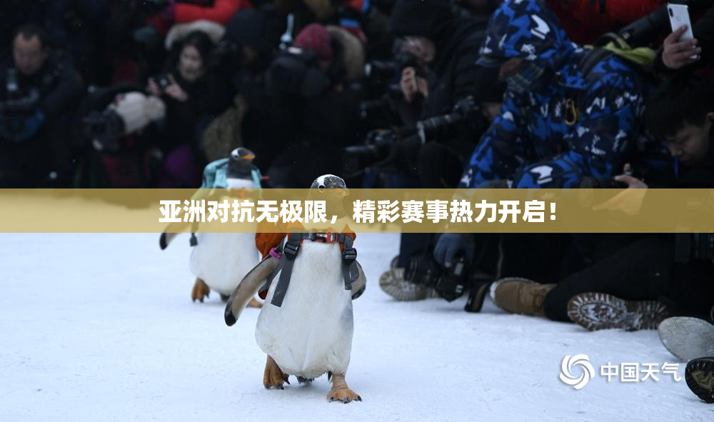 亚洲对抗无极限，精彩赛事热力开启！
