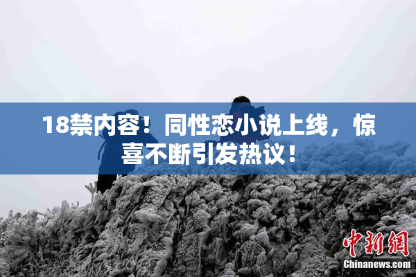 18禁内容！同性恋小说上线，惊喜不断引发热议！