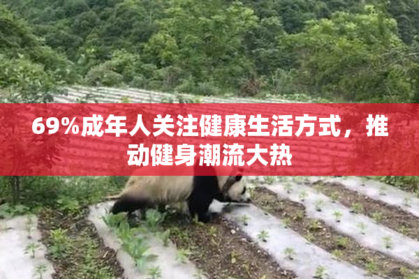 69%成年人关注健康生活方式，推动健身潮流大热