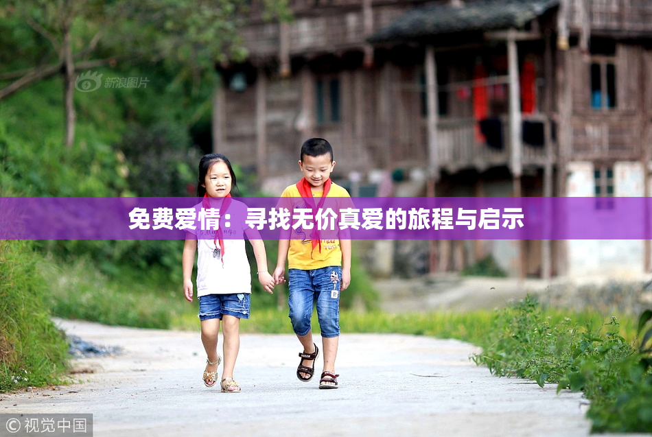 免费爱情：寻找无价真爱的旅程与启示