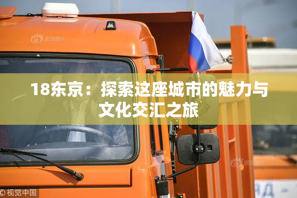 18东京：探索这座城市的魅力与文化交汇之旅