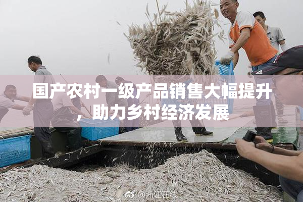 国产农村一级产品销售大幅提升，助力乡村经济发展