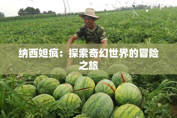 纳西妲疯：探索奇幻世界的冒险之旅