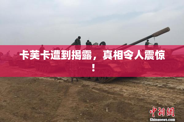 卡芙卡遭到揭露，真相令人震惊！