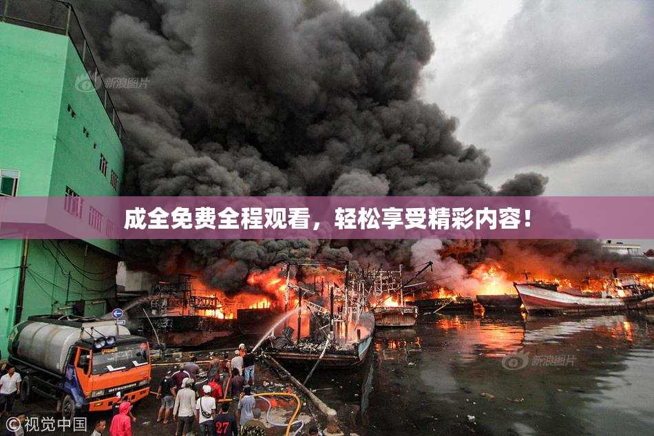 成全免费全程观看，轻松享受精彩内容！