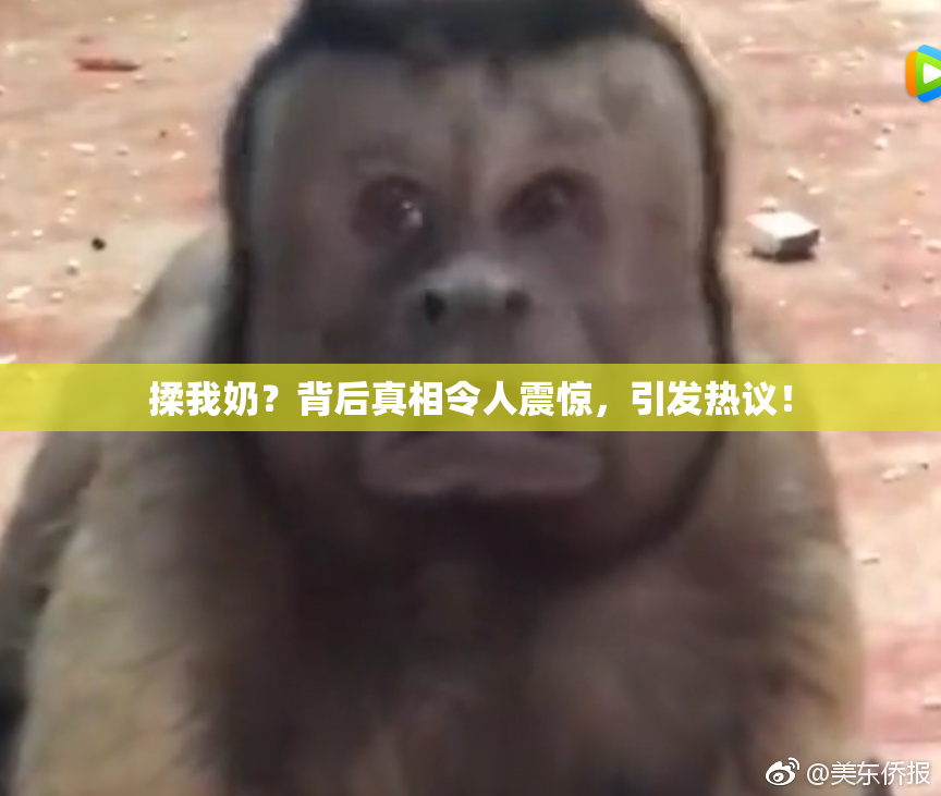 揉我奶？背后真相令人震惊，引发热议！