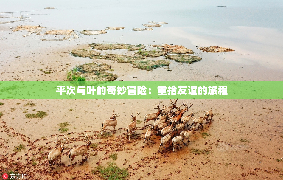 平次与叶的奇妙冒险：重拾友谊的旅程