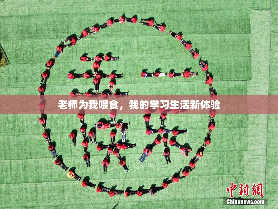 老师为我喂食，我的学习生活新体验