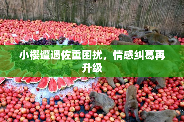小樱遭遇佐重困扰，情感纠葛再升级