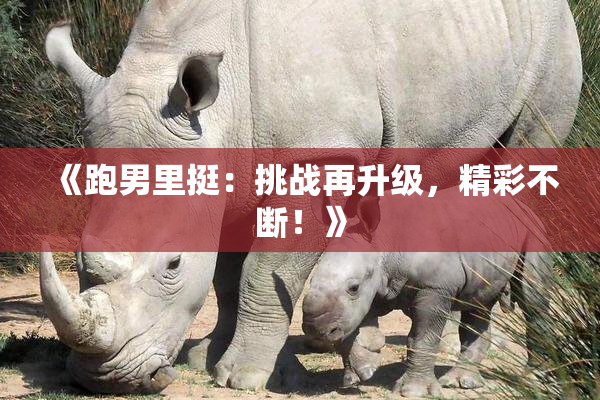 《跑男里挺：挑战再升级，精彩不断！》