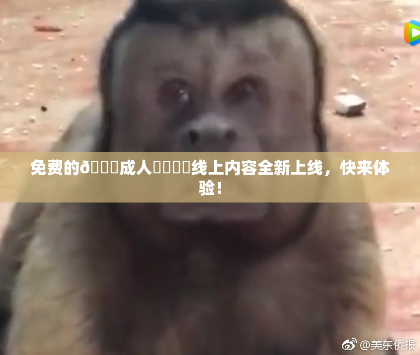 免费的🔞成人❌‌❌‌线上内容全新上线，快来体验！