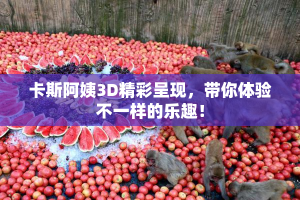 卡斯阿姨3D精彩呈现，带你体验不一样的乐趣！