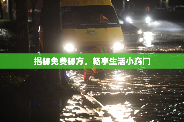 揭秘免费秘方，畅享生活小窍门