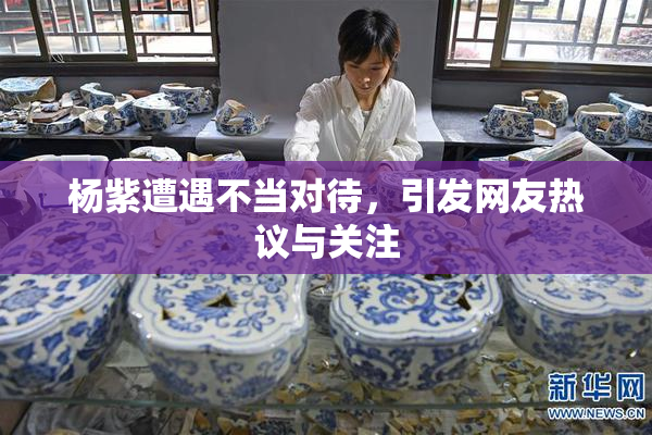 杨紫遭遇不当对待，引发网友热议与关注