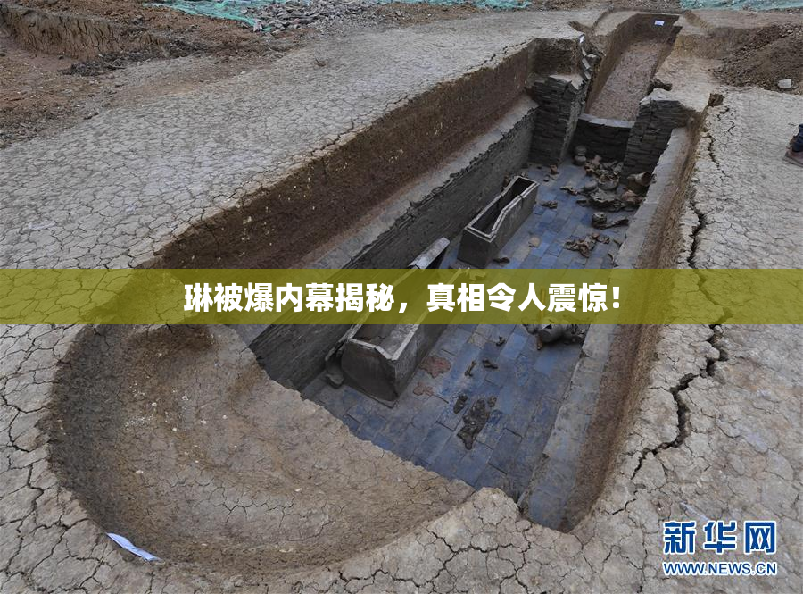 琳被爆内幕揭秘，真相令人震惊！