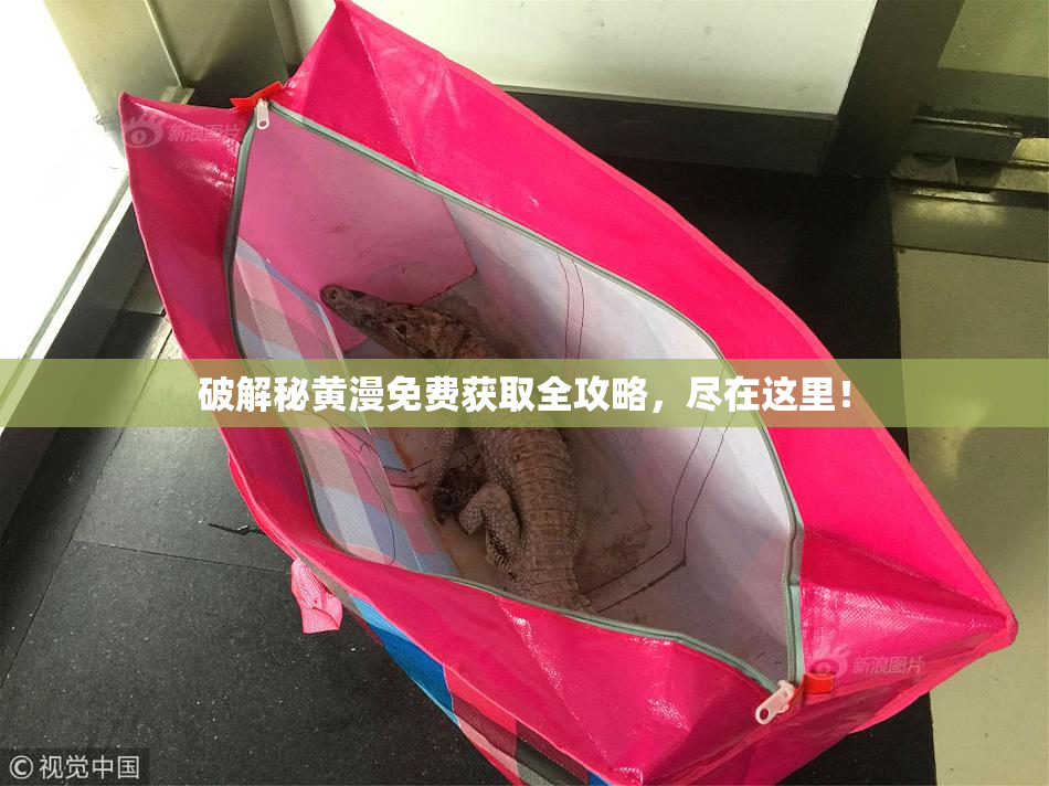 破解秘黄漫免费获取全攻略，尽在这里！
