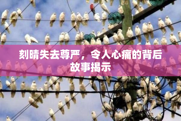 刻晴失去尊严，令人心痛的背后故事揭示