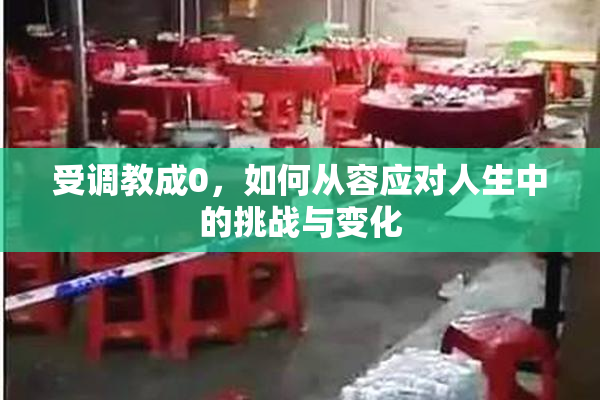受调教成0，如何从容应对人生中的挑战与变化