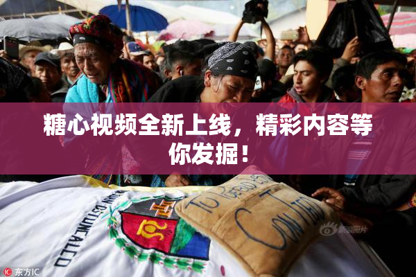 糖心视频全新上线，精彩内容等你发掘！