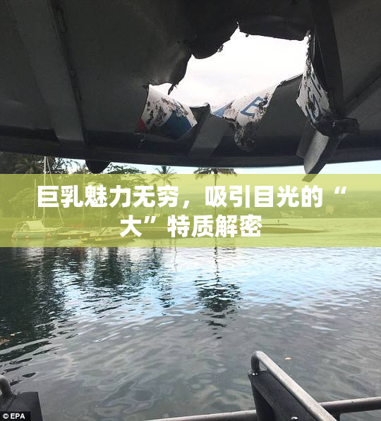巨乳魅力无穷，吸引目光的“大”特质解密