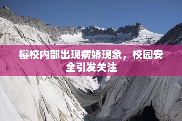樱校内部出现病娇现象，校园安全引发关注