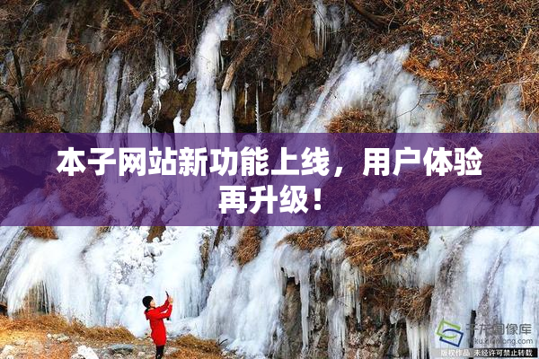 本子网站新功能上线，用户体验再升级！