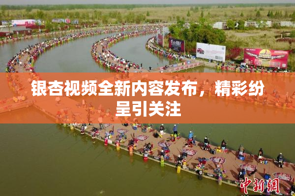 银杏视频全新内容发布，精彩纷呈引关注