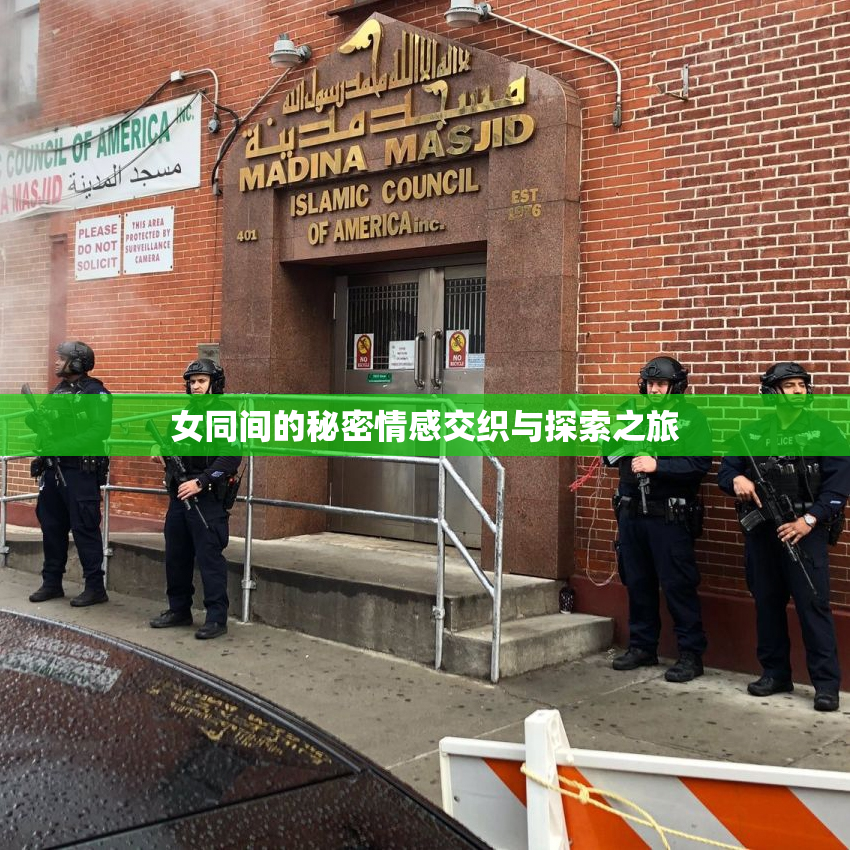 女同间的秘密情感交织与探索之旅