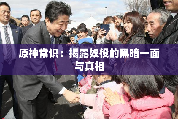 原神常识：揭露奴役的黑暗一面与真相