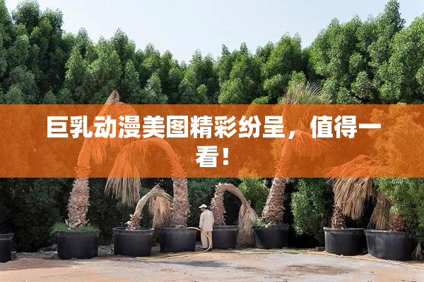 巨乳动漫美图精彩纷呈，值得一看！