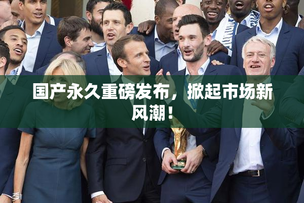 国产永久重磅发布，掀起市场新风潮！