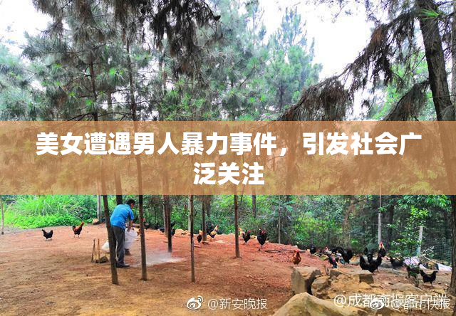 美女遭遇男人暴力事件，引发社会广泛关注