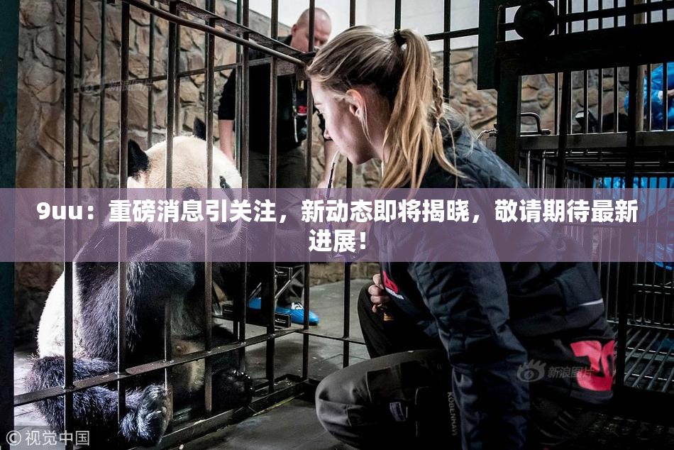 9uu：重磅消息引关注，新动态即将揭晓，敬请期待最新进展！