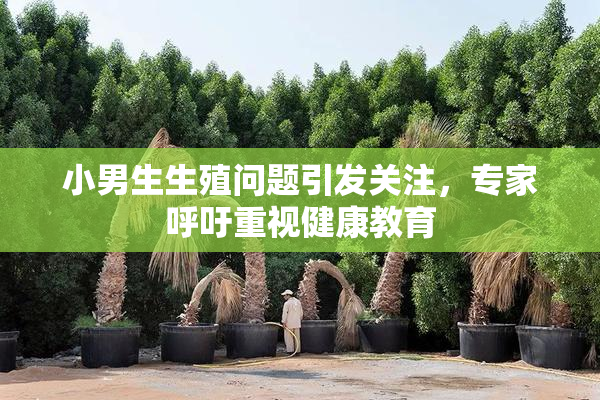 小男生生殖问题引发关注，专家呼吁重视健康教育